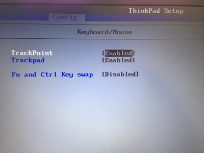 Disable FN & CTRL Key swap